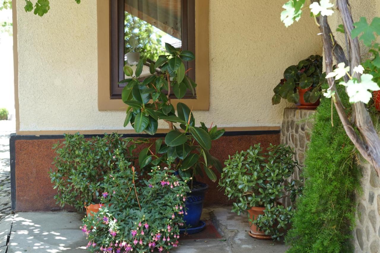 Casa Ciortea Ana Sibiel Bagian luar foto