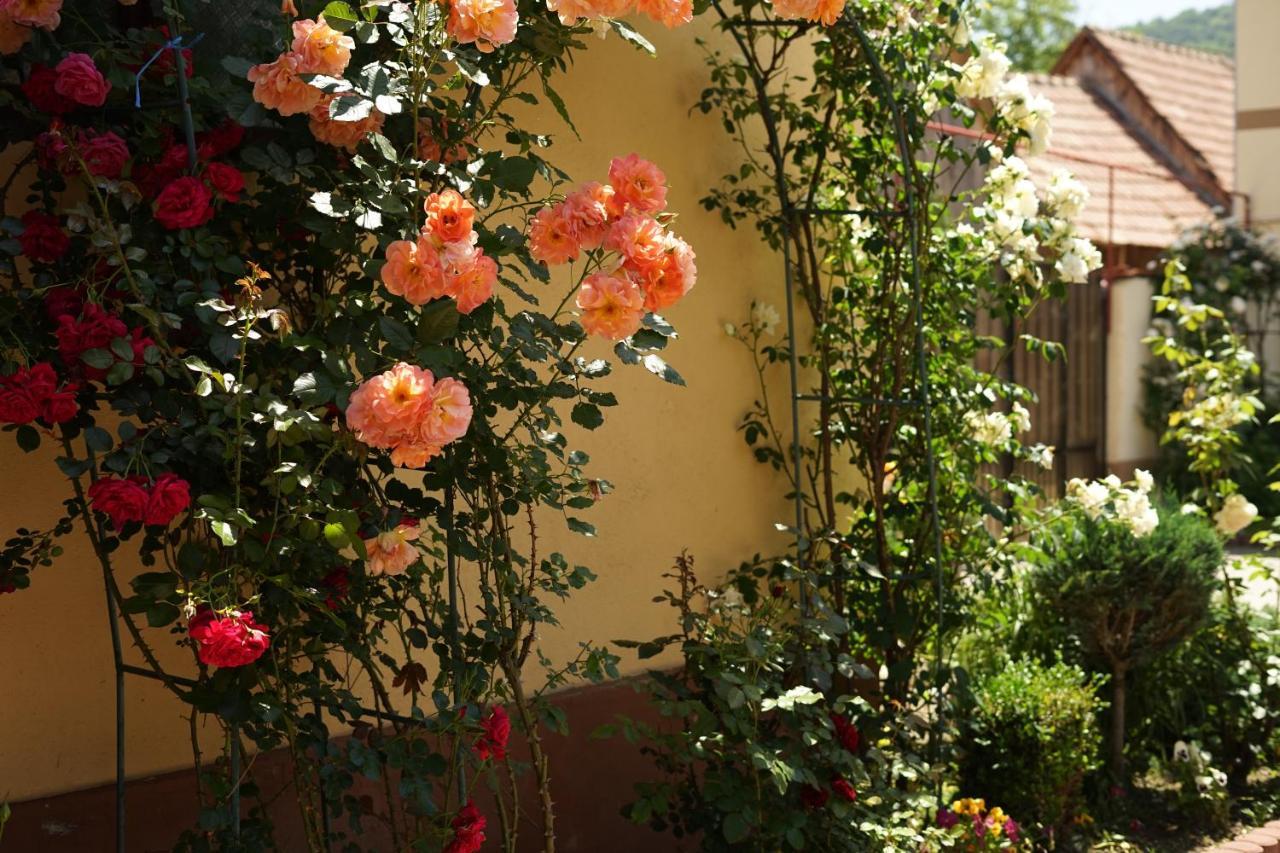 Casa Ciortea Ana Sibiel Bagian luar foto
