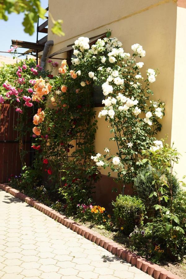 Casa Ciortea Ana Sibiel Bagian luar foto